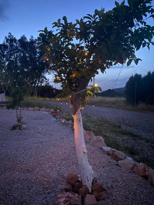 Thalia'S House Villa Pastida Екстериор снимка